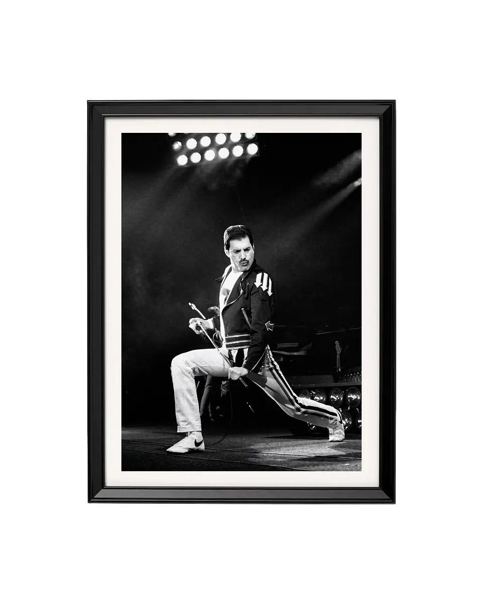 Cuadro Freddie Mercury (Queen) - Live 1