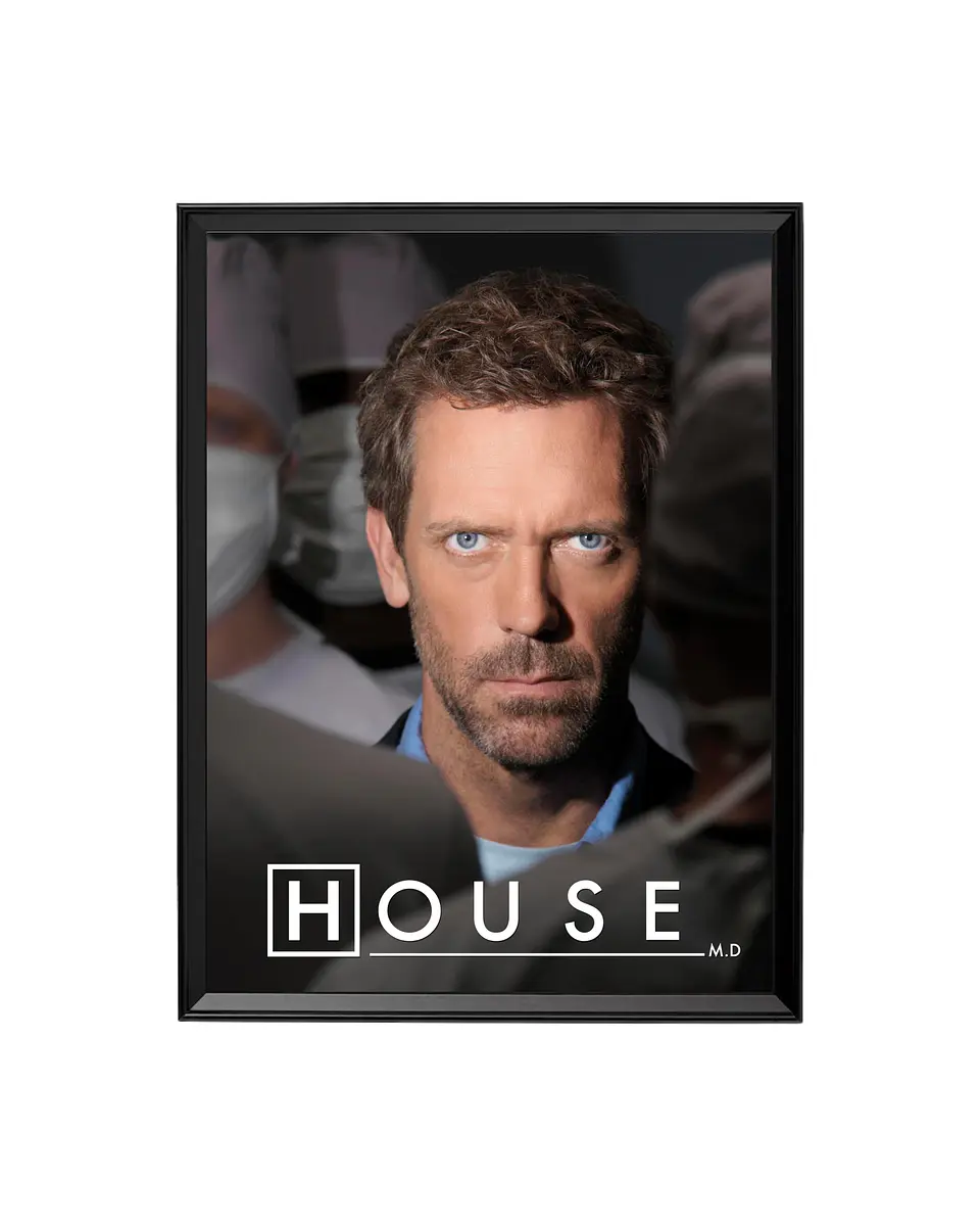 Cuadro Dr. House - El Genio Incorregible 1
