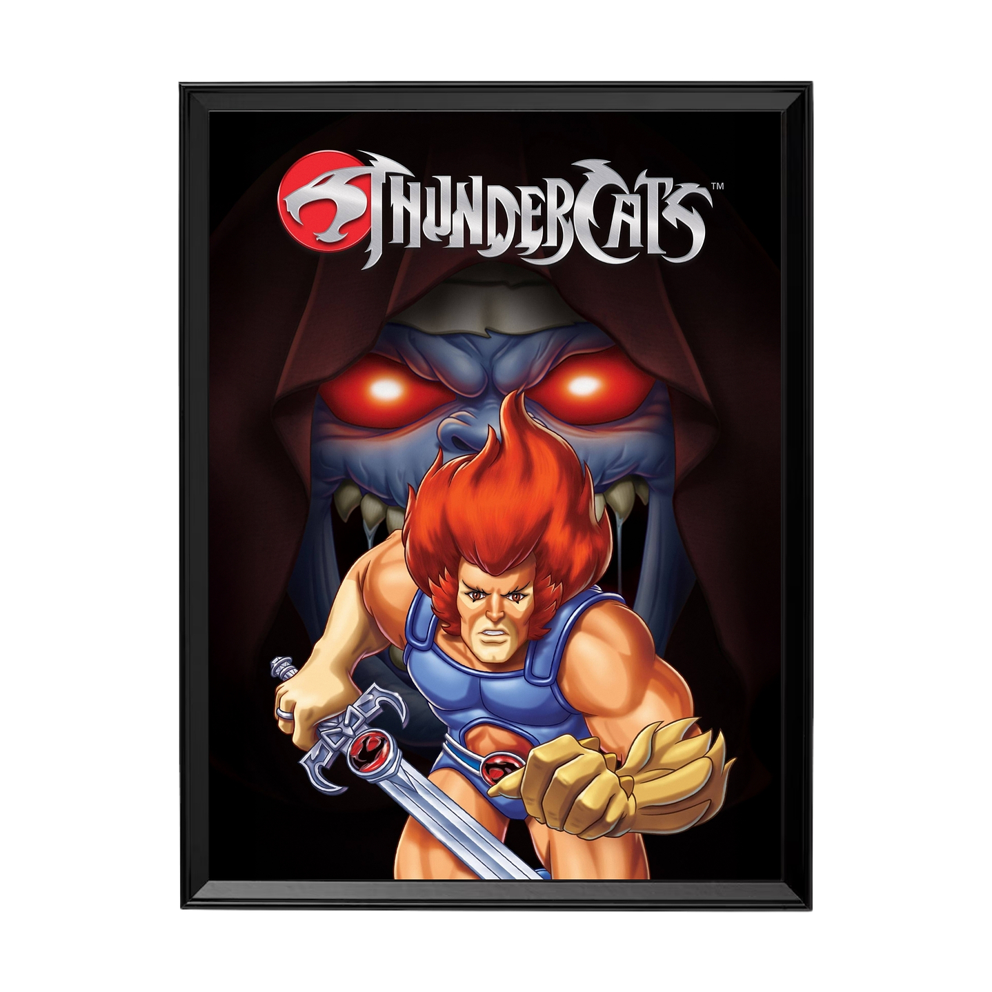 Thundercats - El Rugido del Tercer Planeta 1