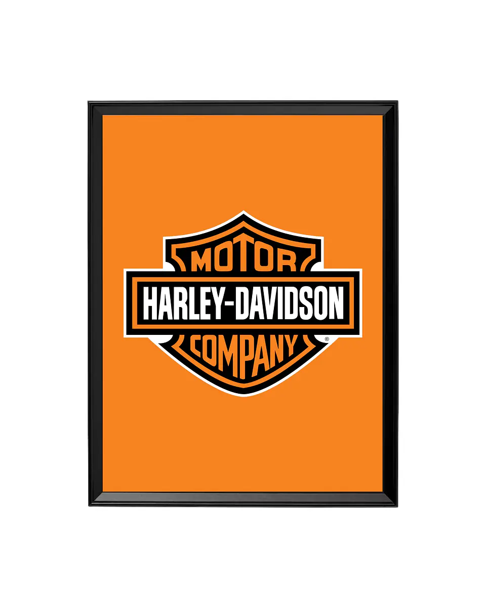 Cuadro Harley Davidson - Libertad sobre Ruedas 1