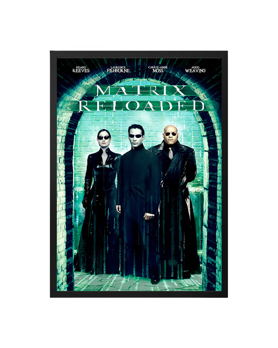Cuadro The Matrix - Reloaded 1