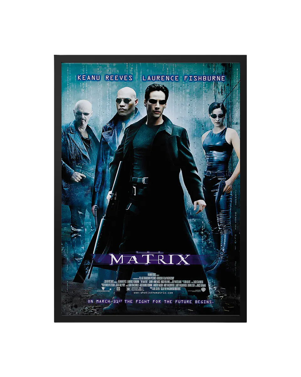 Cuadro The Matrix 1