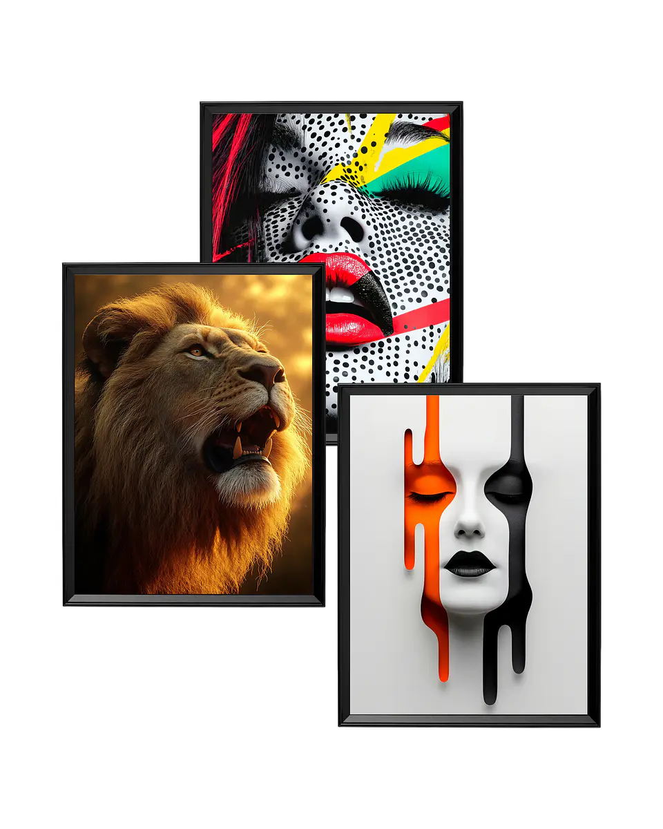 Pack 3 Cuadros 50x40 (Envío Gratis) 2