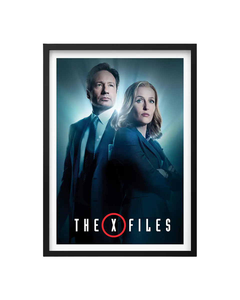Cuadro The X File (Los Archivos Secretos X) 1