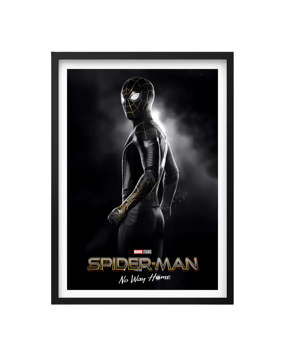 Cuadro Spiderman 1