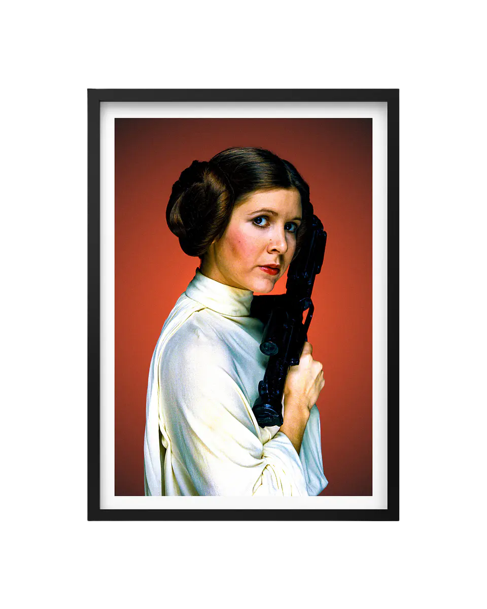 Cuadro Star Wars / Princesa Leia 1