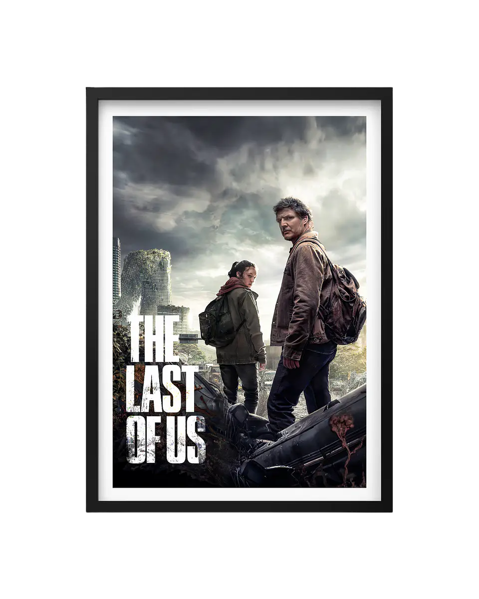 Cuadro The Last Of Us 1