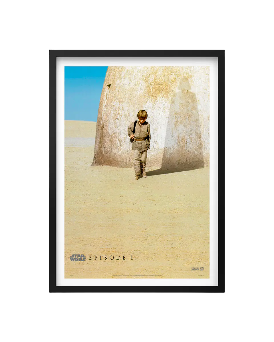 Cuadro Anakin Skywalker - Star Wars 1