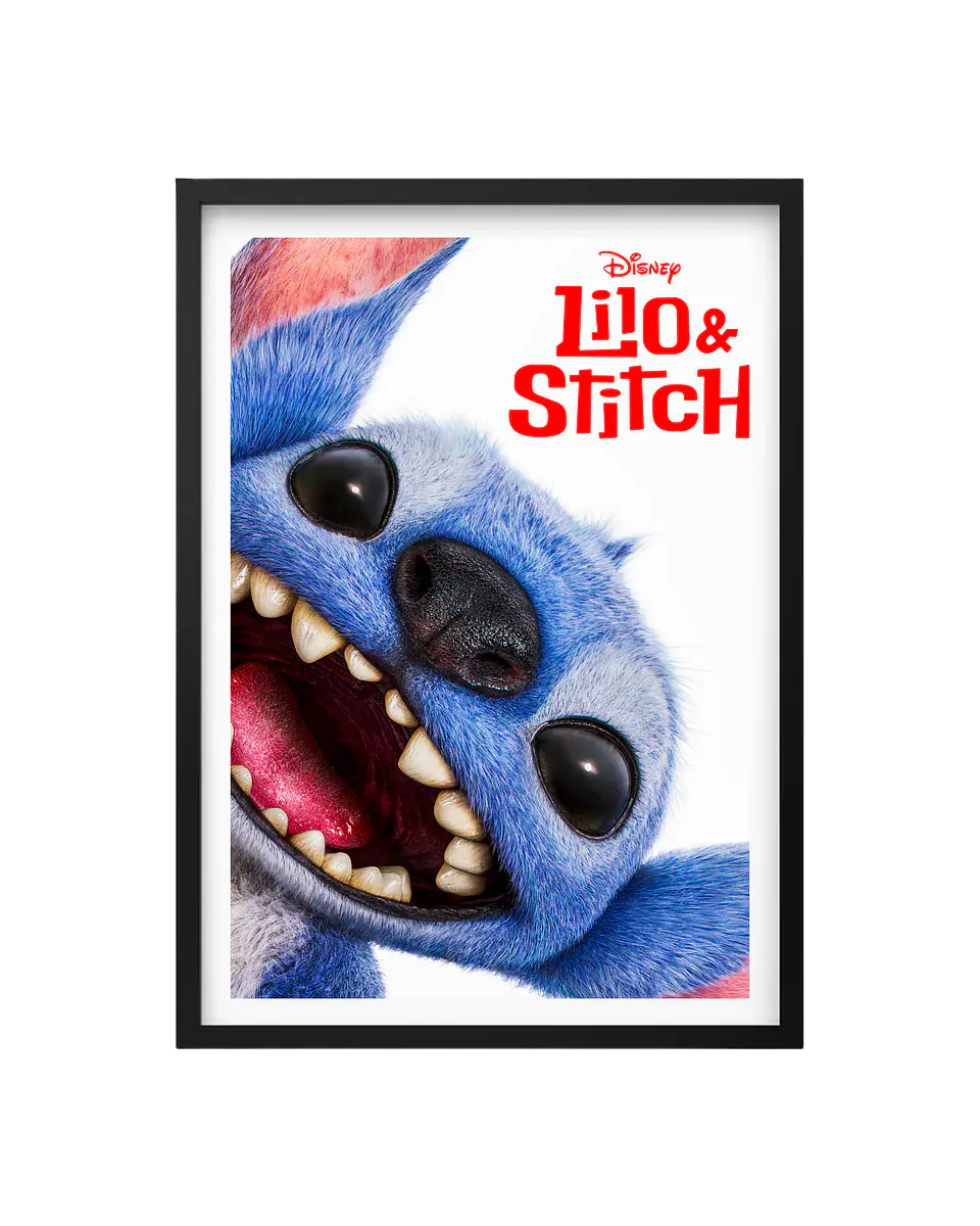 Cuadro Lilo & Stitch 1
