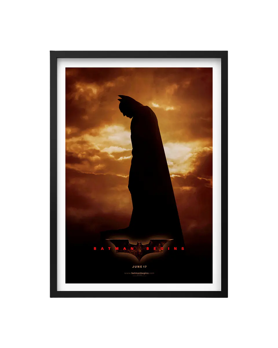 Cuadro Batman Begins 1