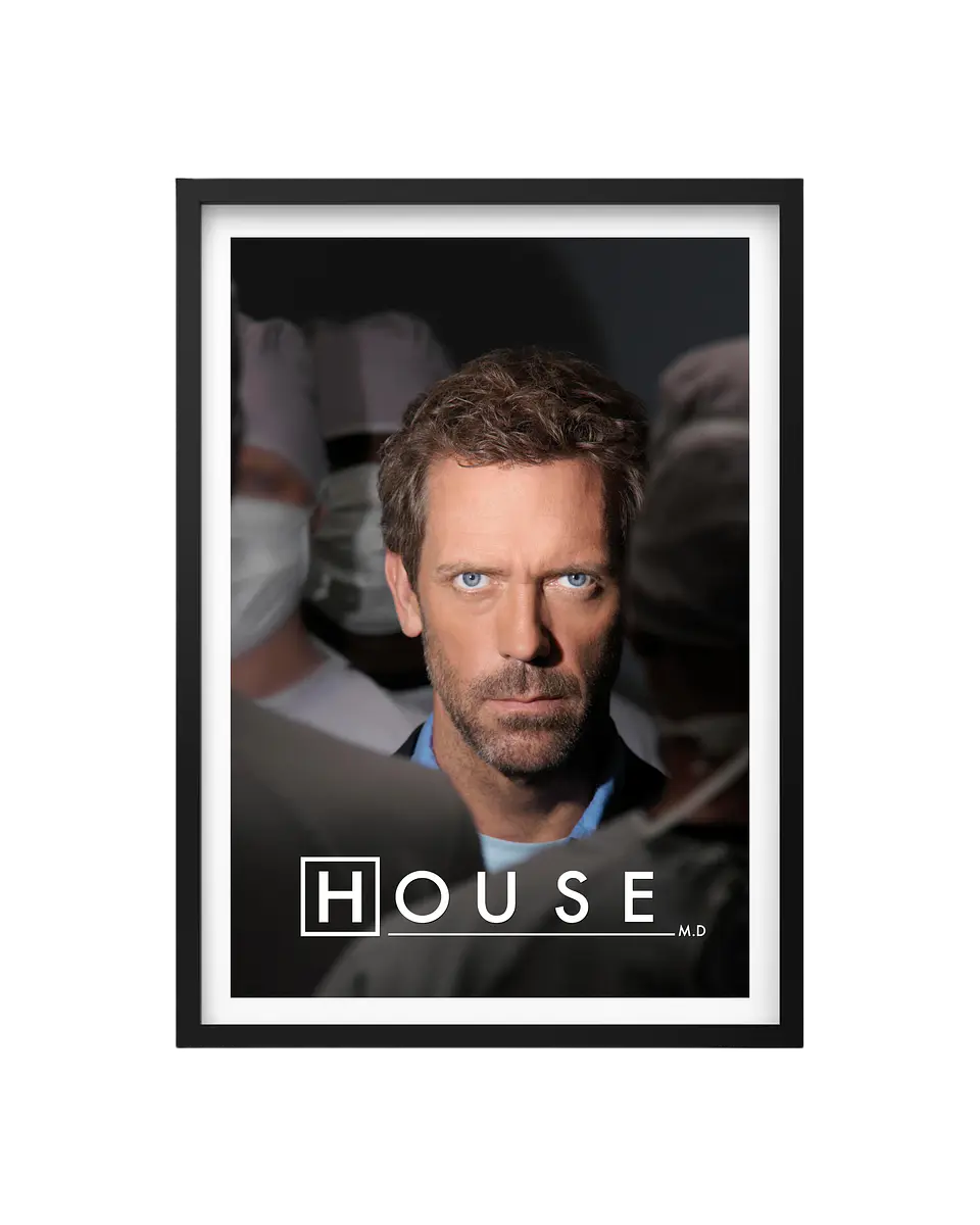 Cuadro Dr. House - El Genio Incorregible 1