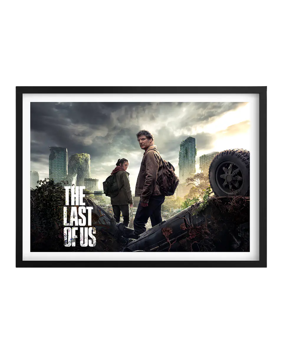 Cuadro The Last Of Us 1