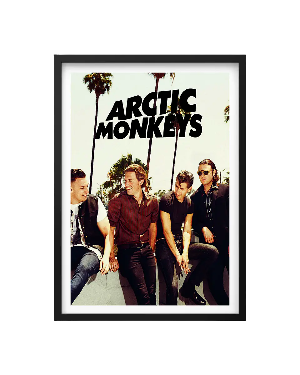 Cuadro Artic Monkeys 1