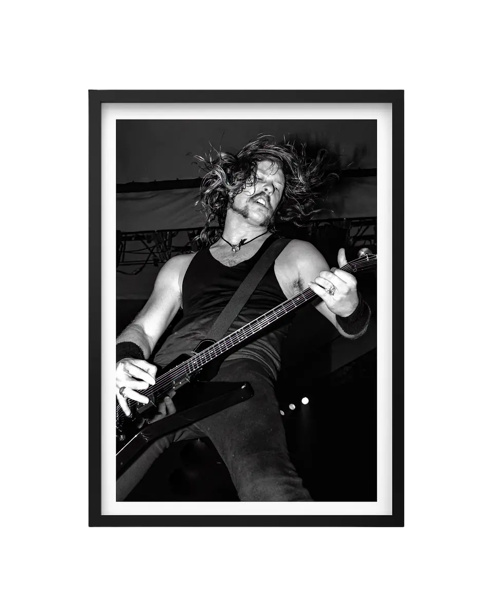 Cuadro James Hetfield Metallica 1