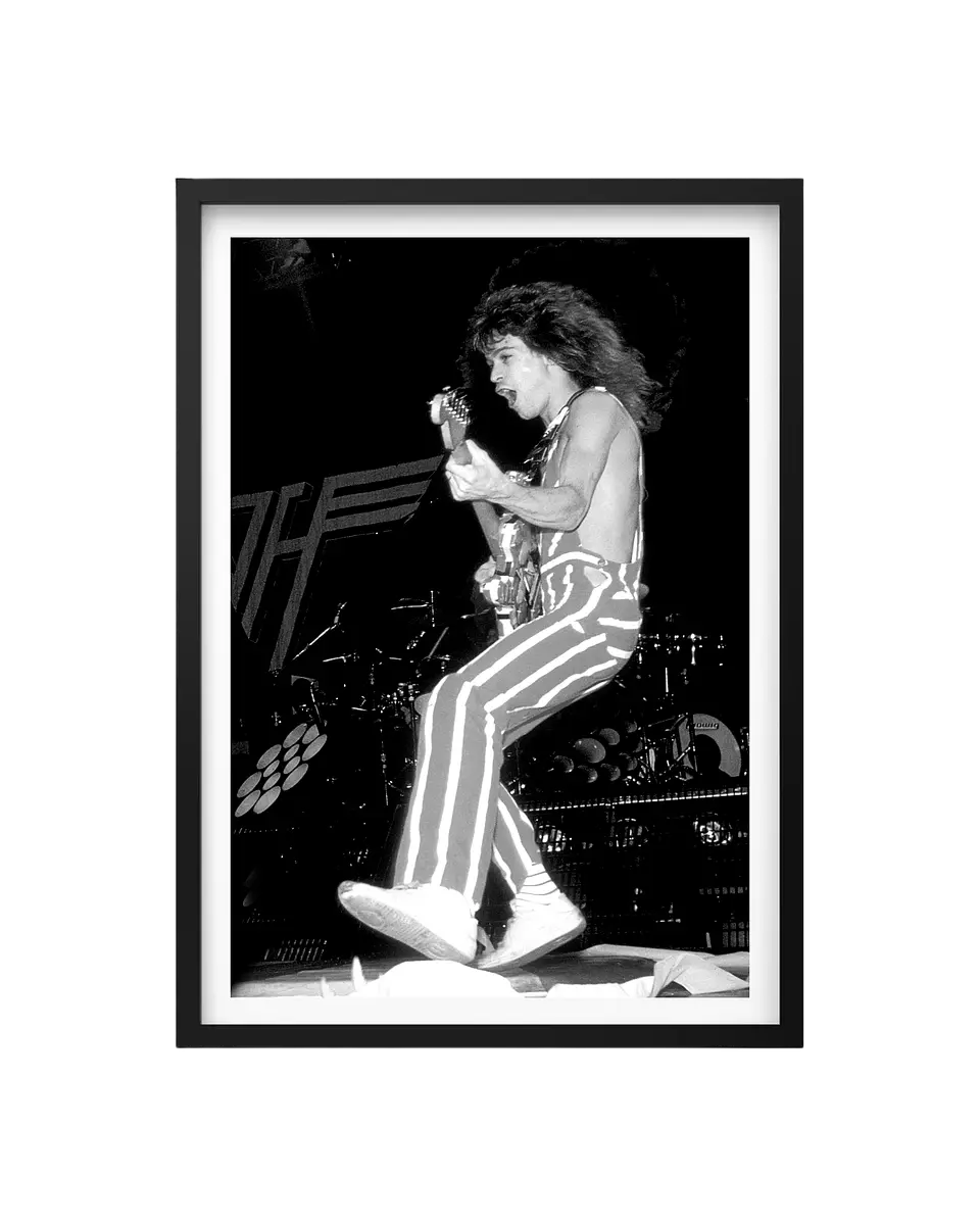 Cuadro Eddie Van Halen 1