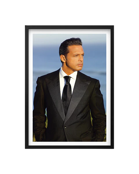 Cuadro Luis Miguel