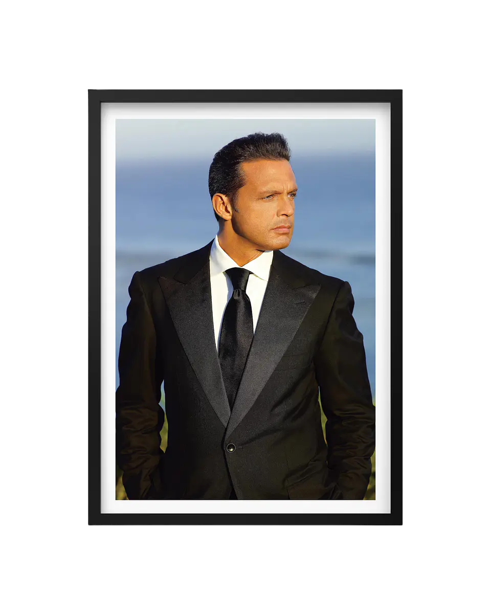 Cuadro Luis Miguel 1