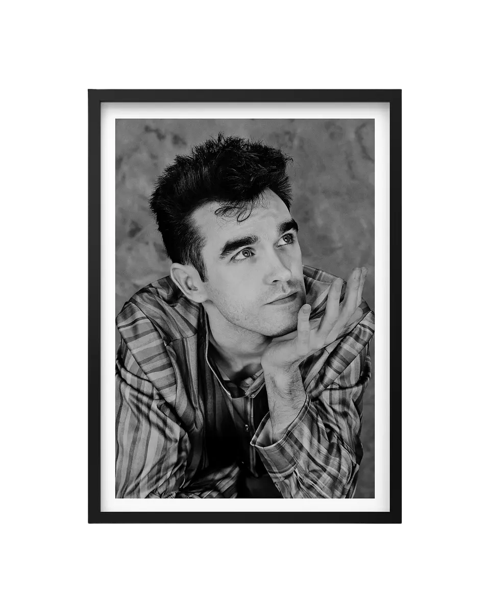 Cuadro Morrisey 1