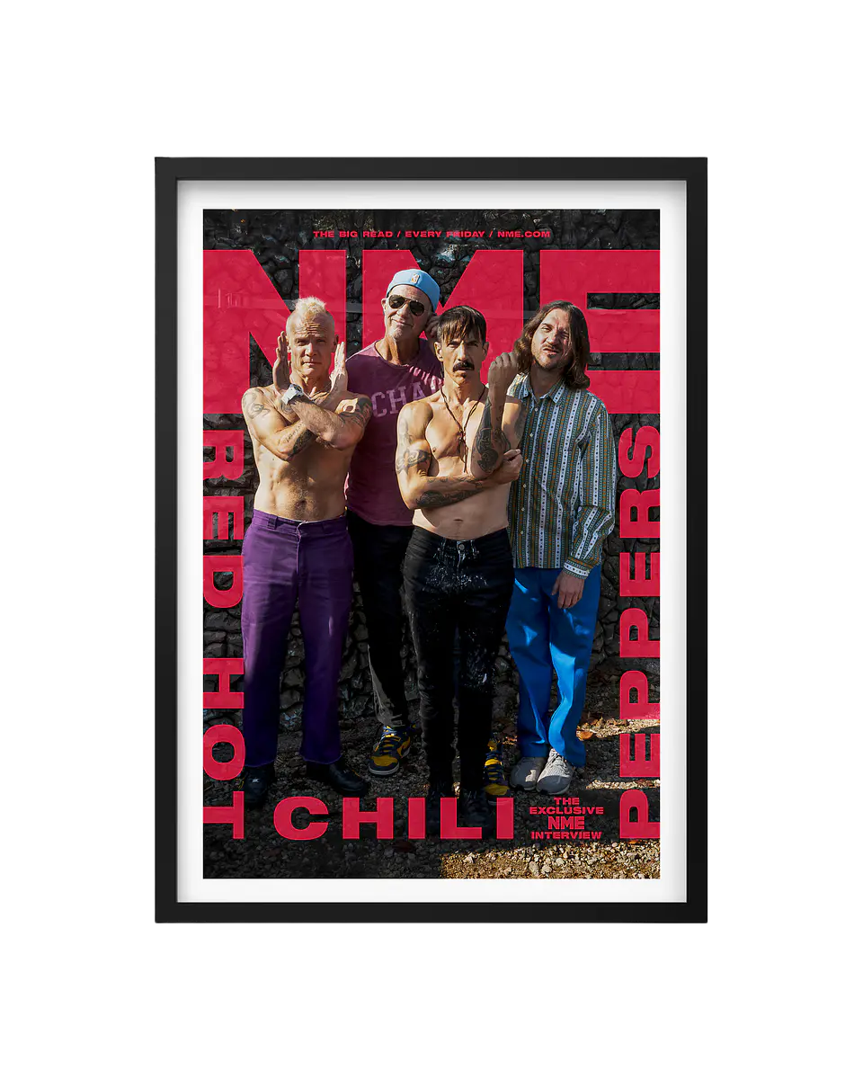 Cuadro Red Hot Chili Peppers 1