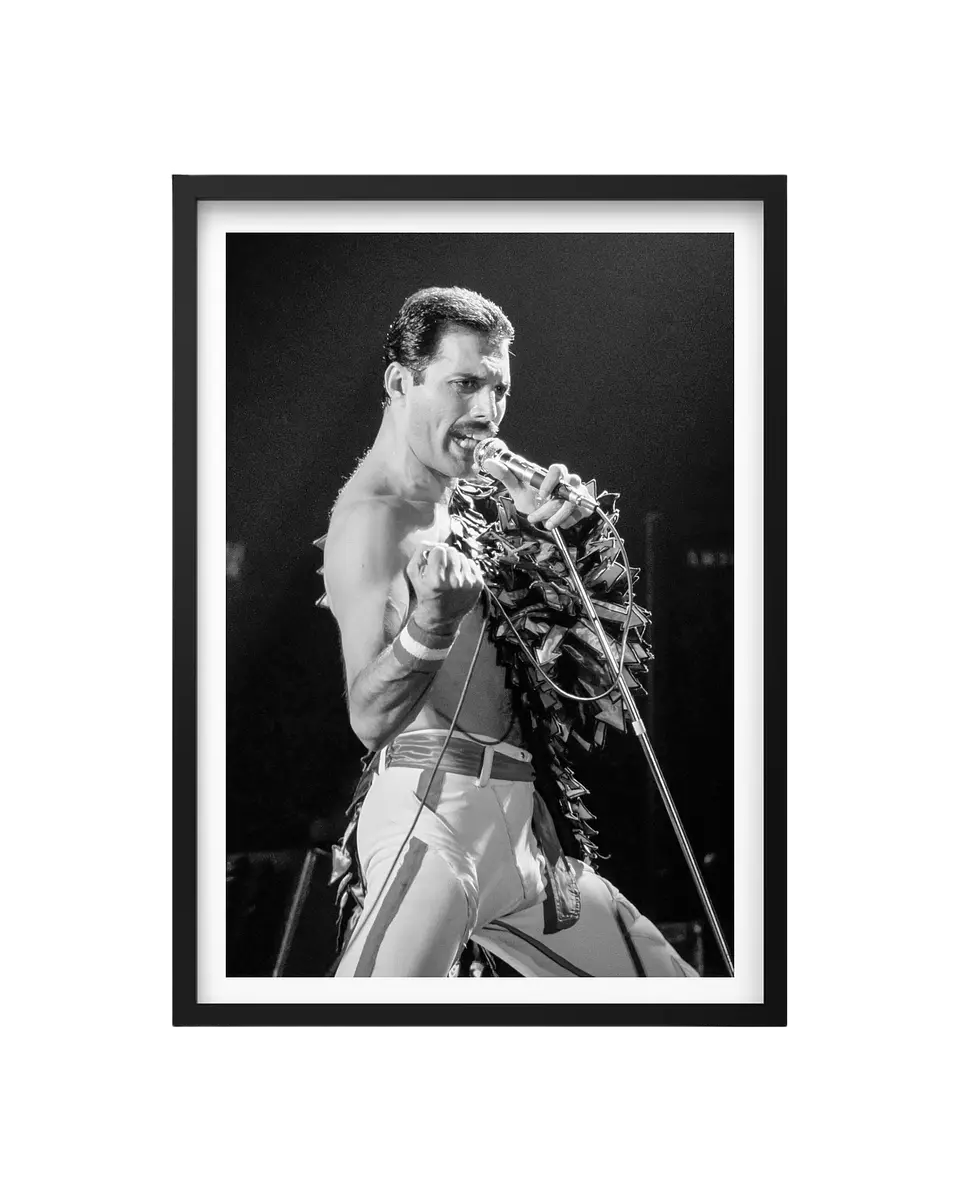Cuadro Freddie Mercury - Queen 1