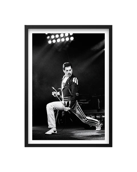 Cuadro Freddie Mercury (Queen) - Live