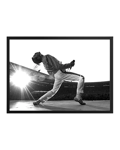 Cuadro Freddie Mercury Queen