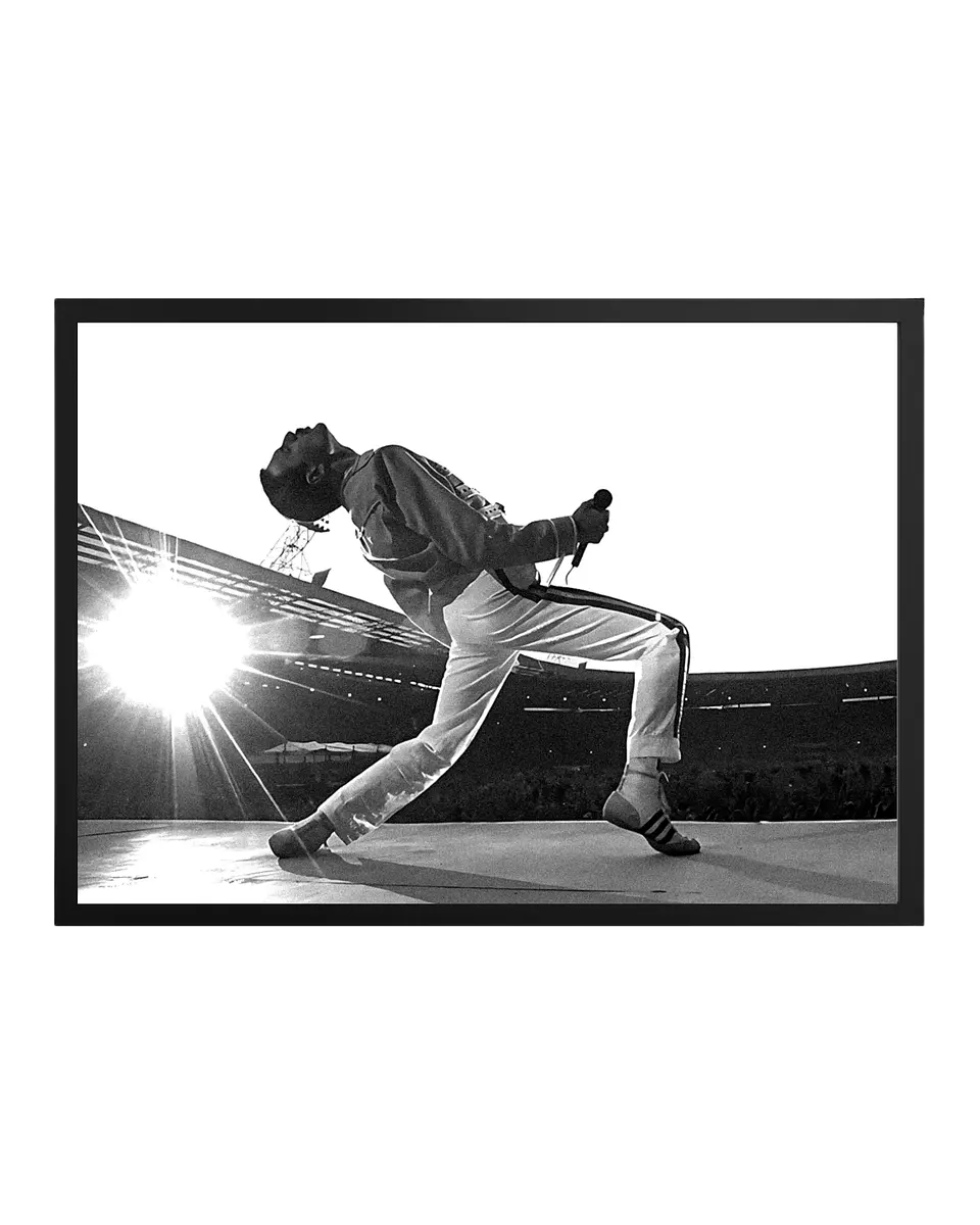 Cuadro Freddie Mercury Queen 1