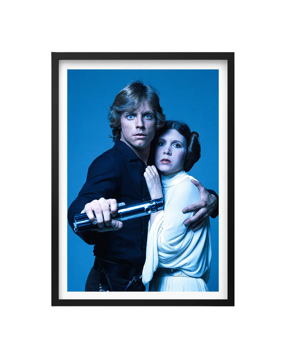 Cuadro Luke / Princesa Leia / Star Wars 1