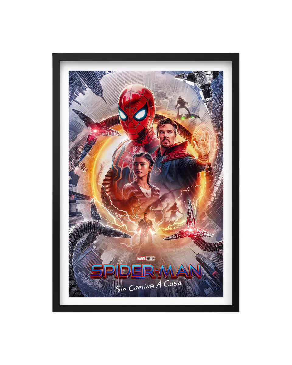Cuadro Spiderman 1