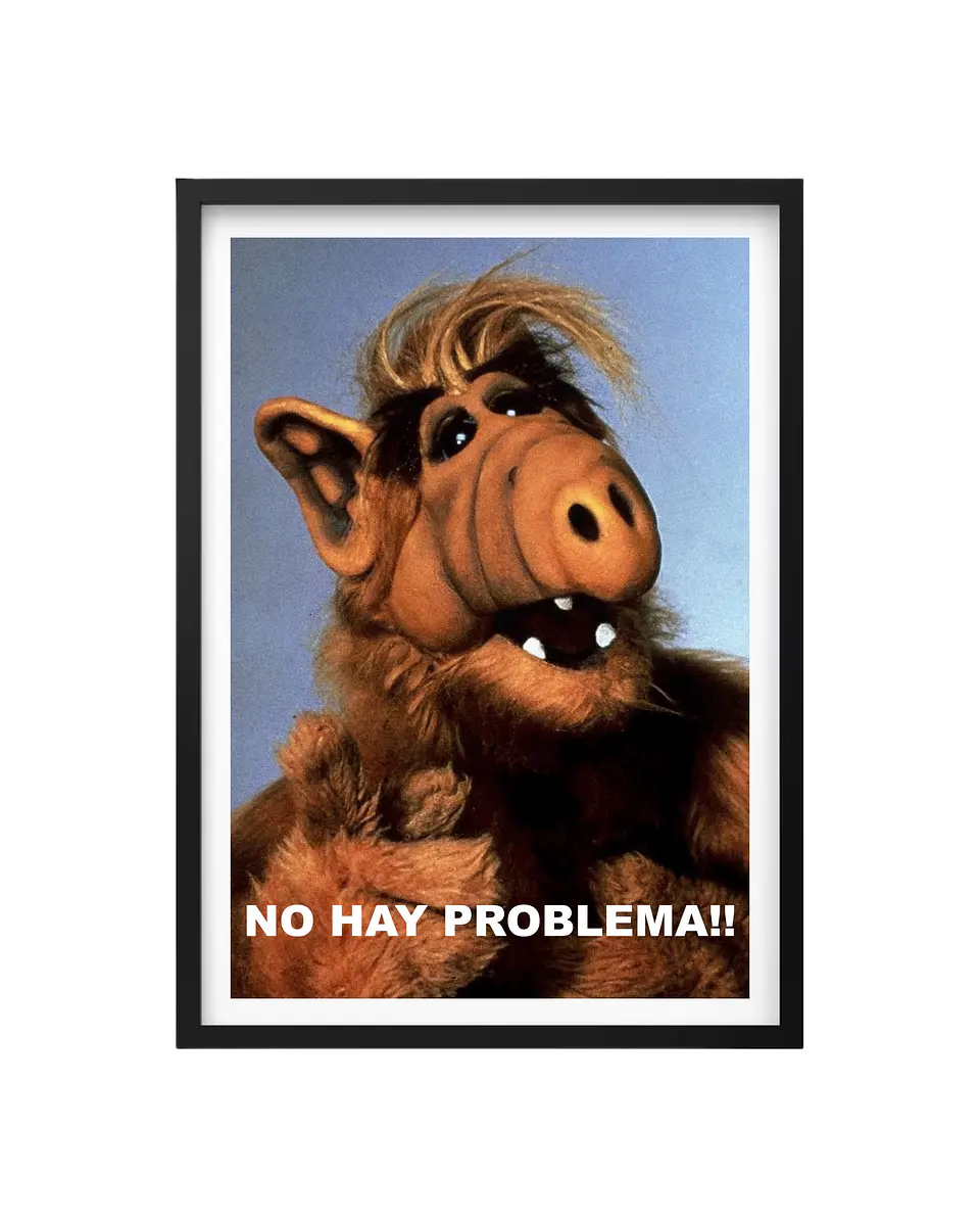 Cuadro Alf 1
