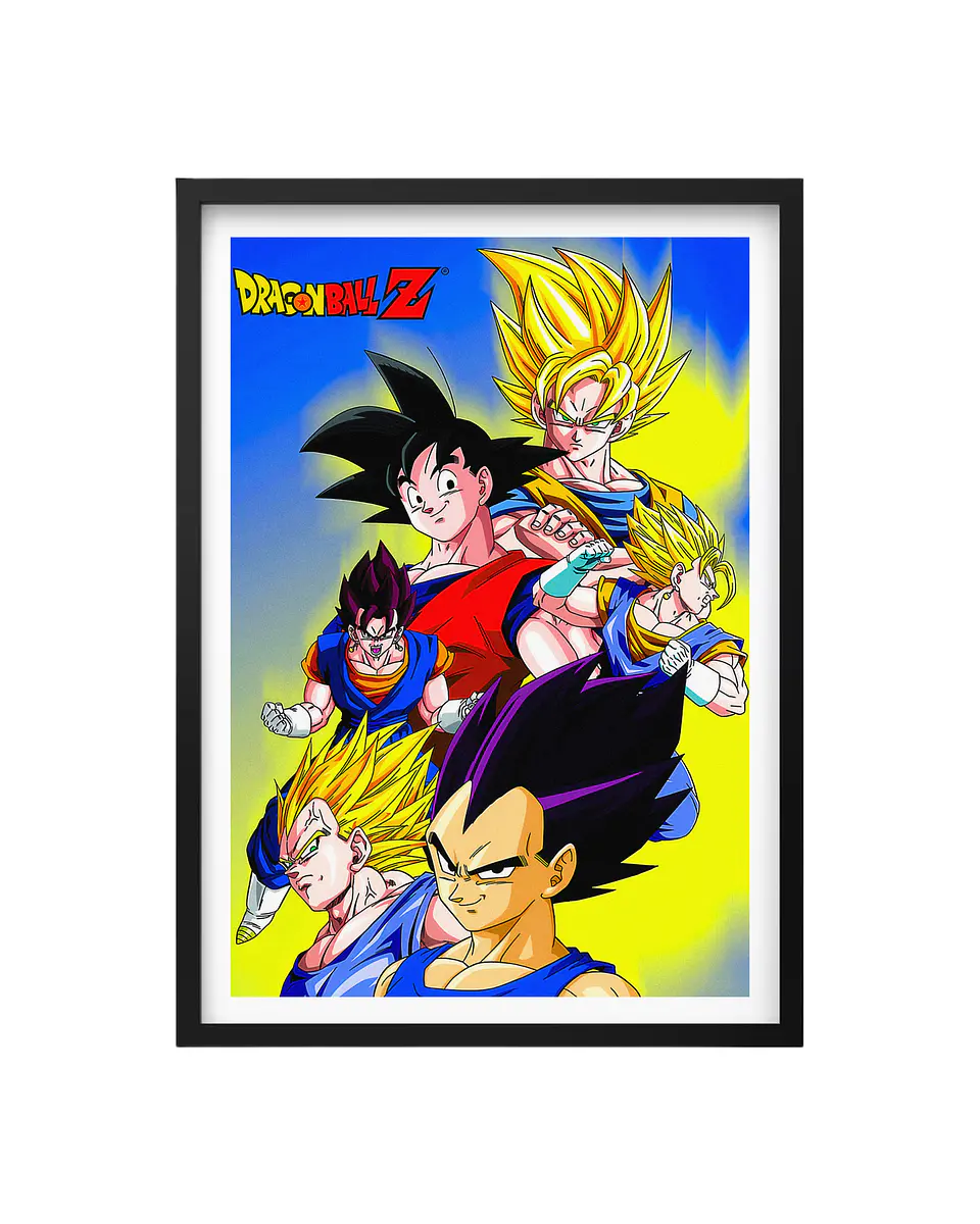 Cuadro Dragon Ball Z 1