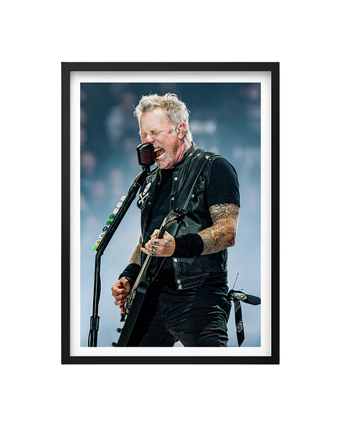 Cuadro James Hetfield Metallica