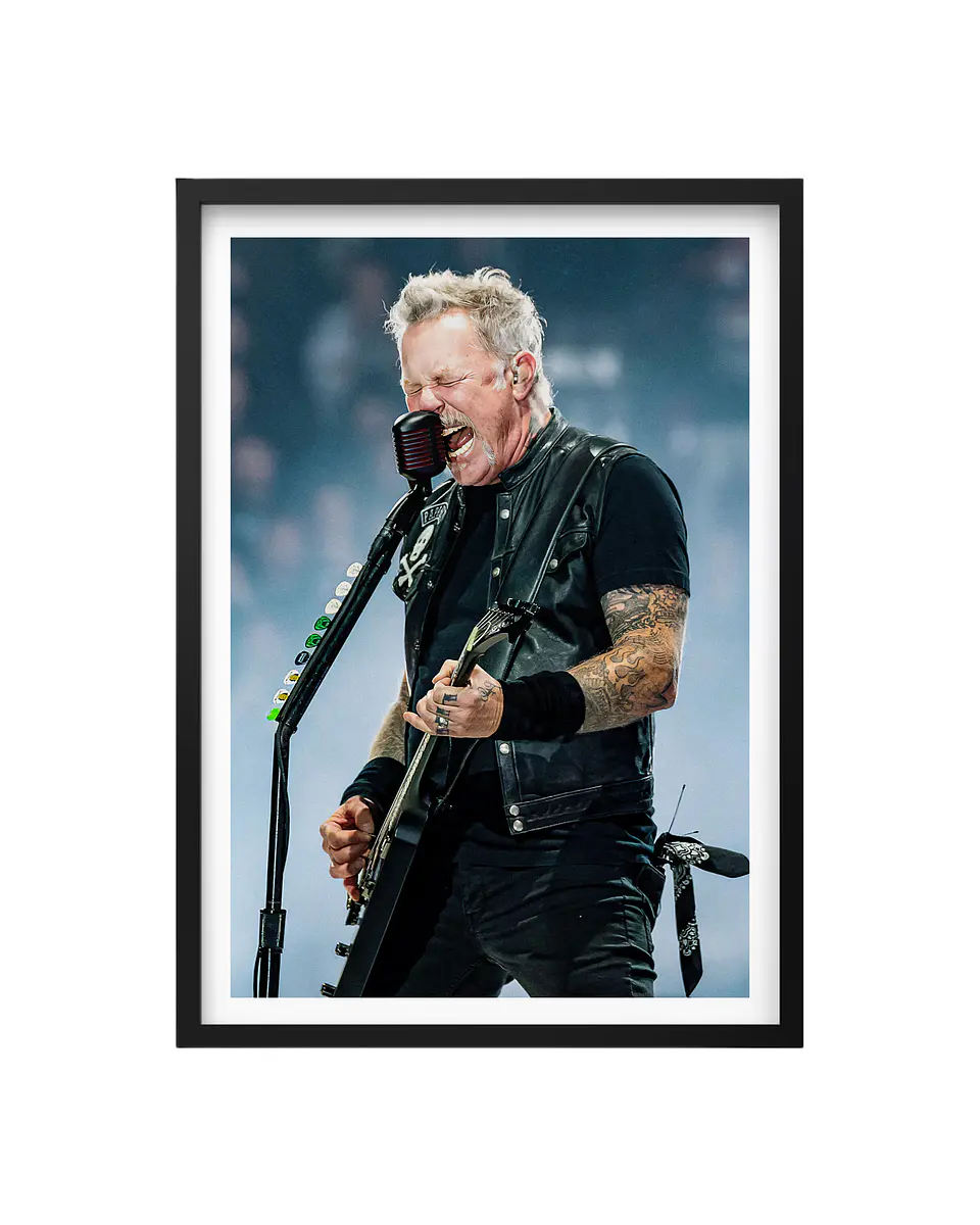 Cuadro James Hetfield Metallica 1