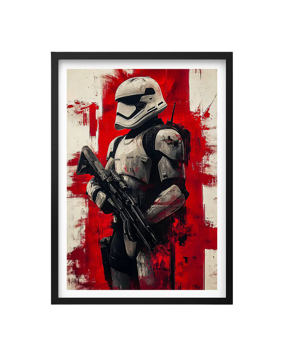 Cuadro Stormtrooper - Star Wars 1