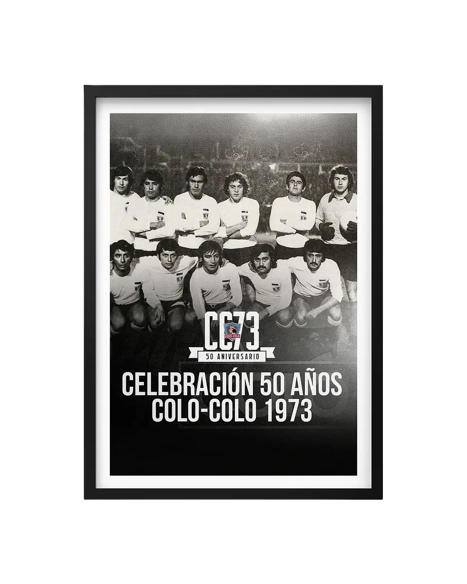 Cuadro Colo Colo 1973 1