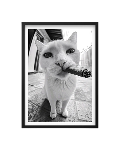 Cuadro Gato Mafia
