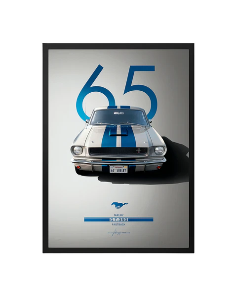 Cuadro Ford Mustang Shelby G.t. 350 1965
