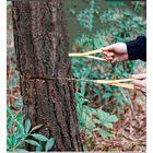 Sierra De Cadena Manual 1