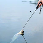 Gancho Telescópico De Pesca 65 Cm 2