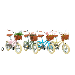 Bicicleta Aprendizaje Con Canasto Aro 16