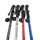 BASTÓN DE TREKKING 1