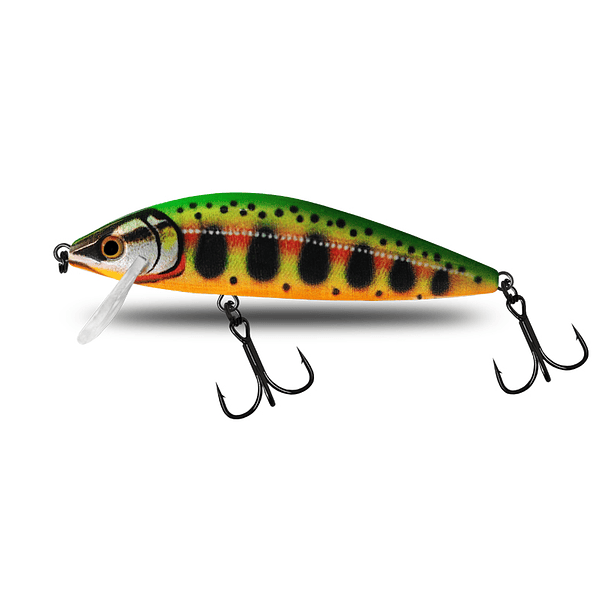 SEÑUELO MINOW 60MM / 8G / SINKING  4