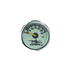 MANÓMETRO DE LA BOMBIN PCP M10*1 25MM 2