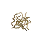Carnada De Gusanos De Arena Secos 2