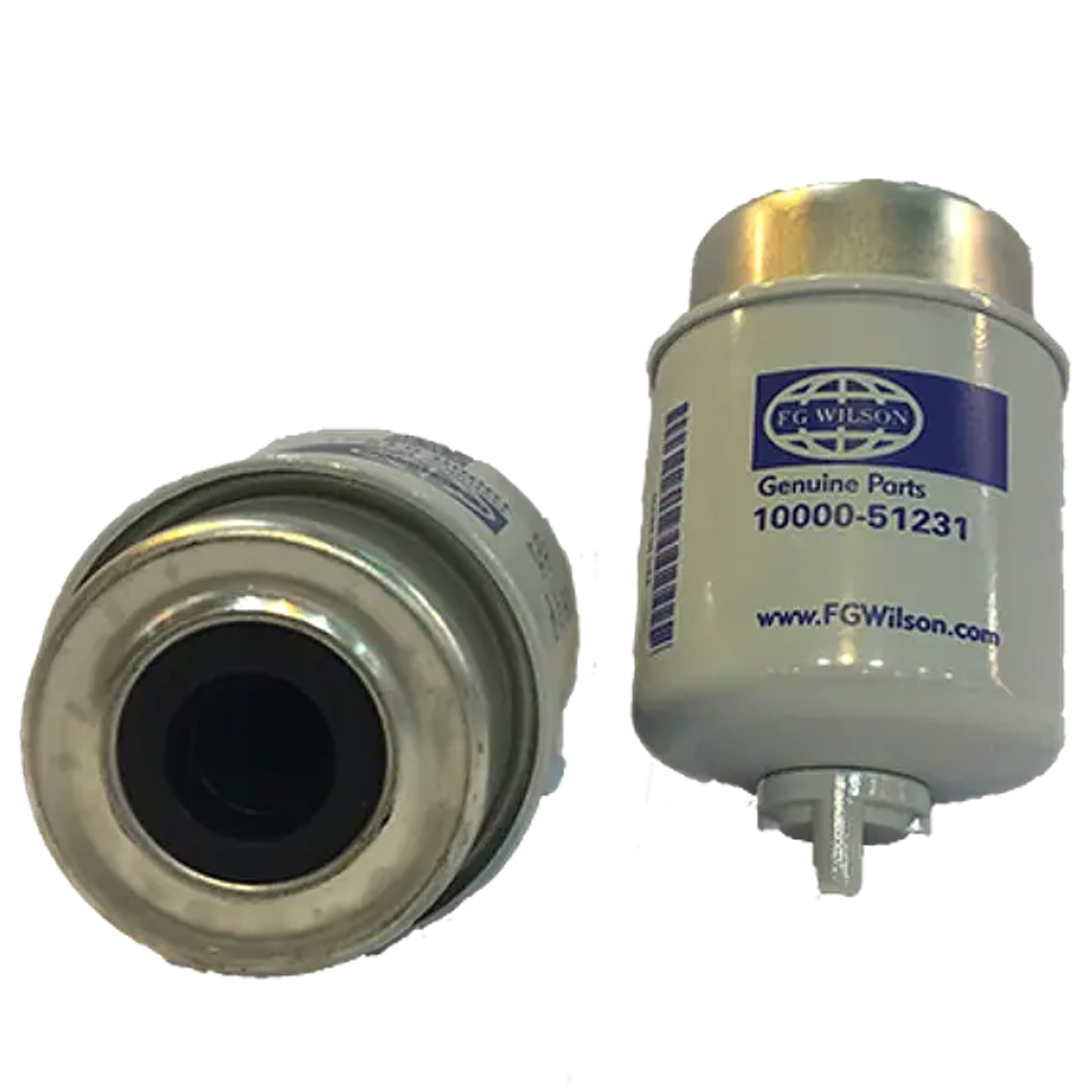 FILTRO FG WILSON / 1000051231 1