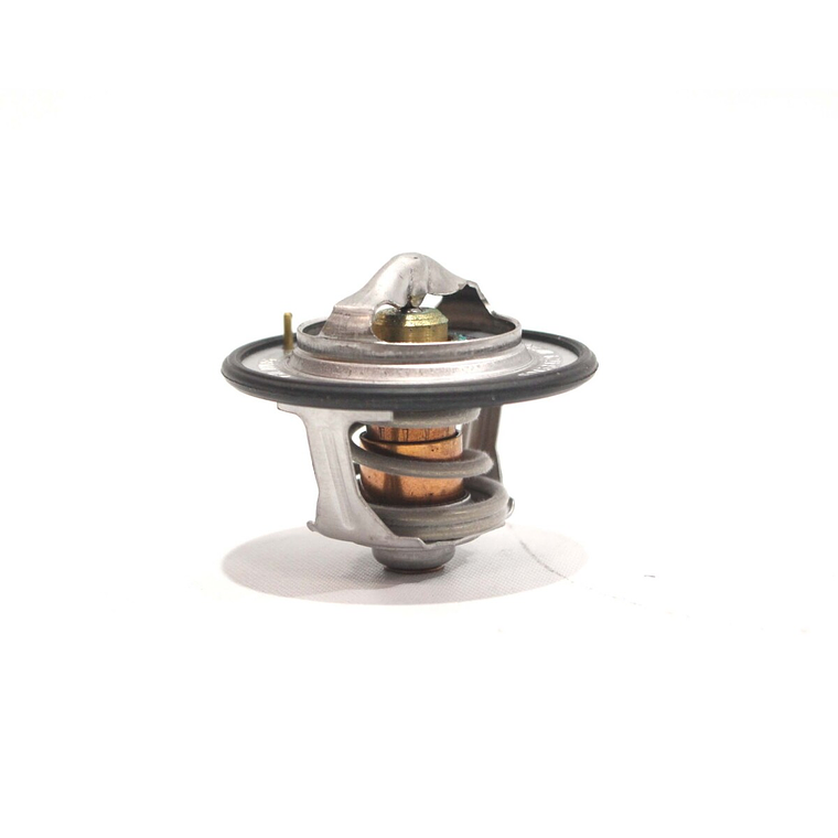 TERMOSTATO CNH 580N 1