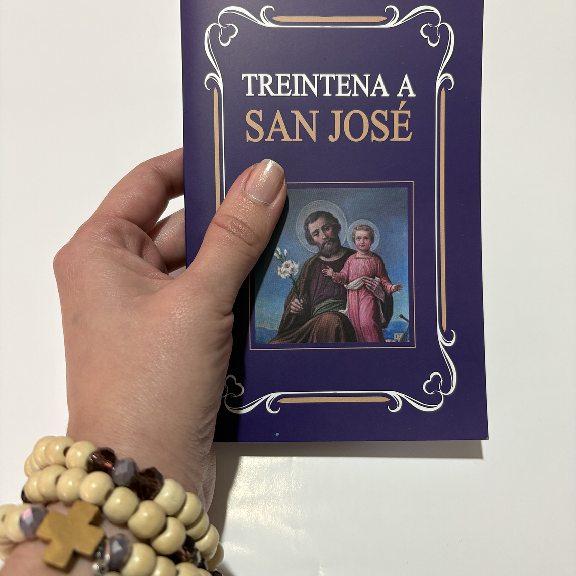 Libro - Treitena a San José 3