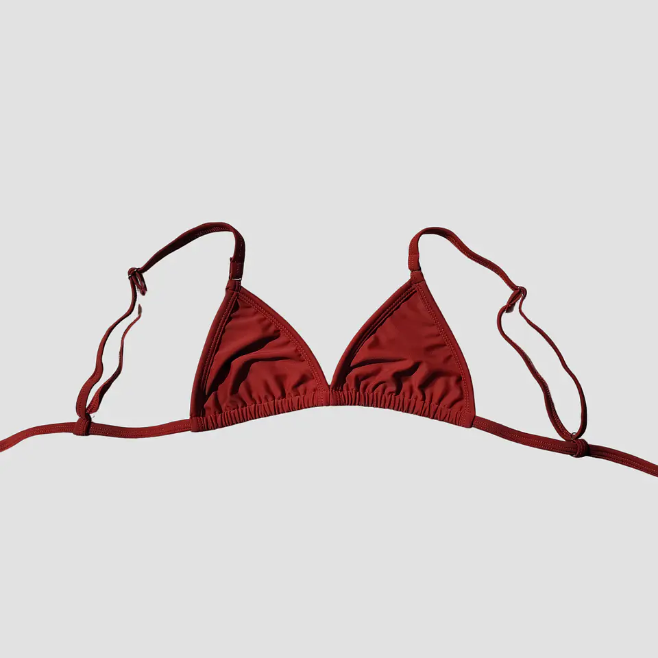 Top de bikini Triangulo Milos 1