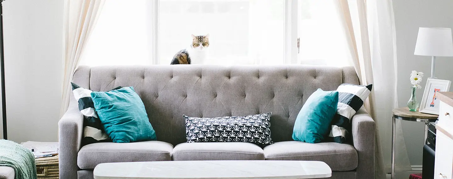 Comfort Meets Elegance