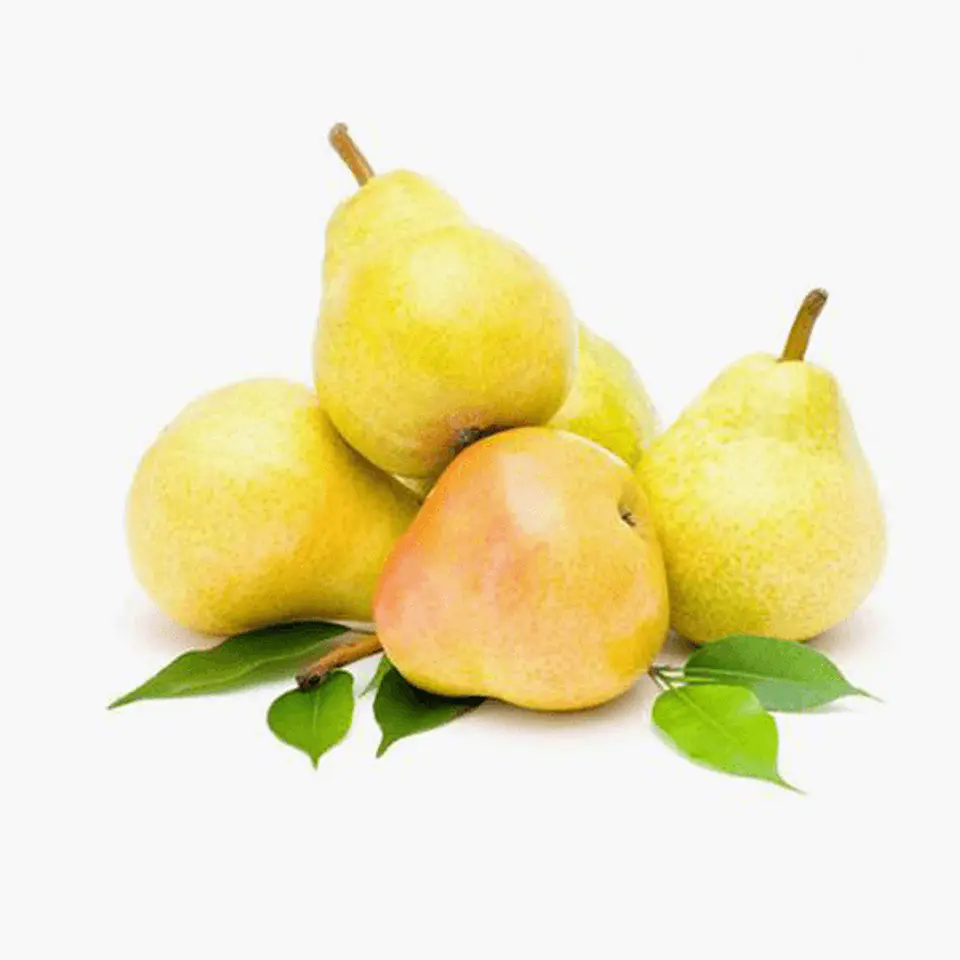 Bartlett Pear 1